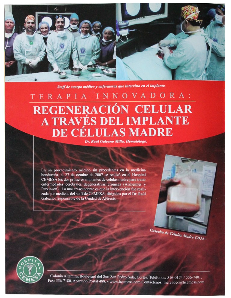 Renegeracion de celulas madre